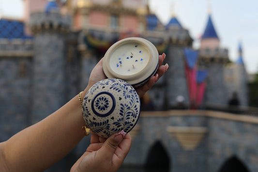 Donald🦆✨ (Online Exclusive)